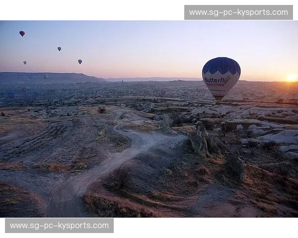 澳网伤停风云:从伤痛到新生的惊心旅程 澳网伤停风云:从伤痛到新生的惊心旅程